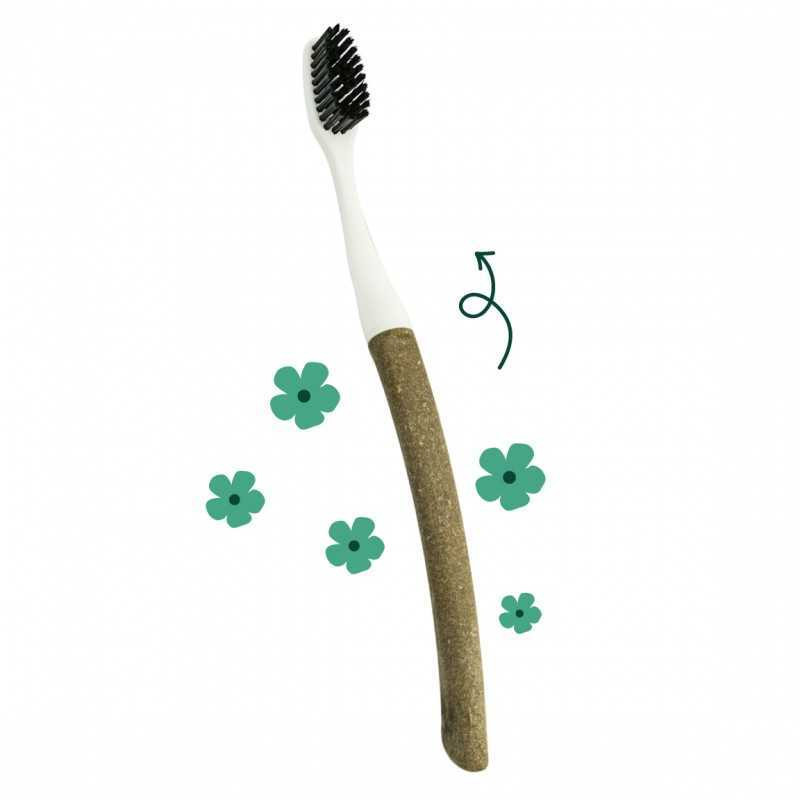 Brosse à Dents Rechargeable Edith en Lin 100% plastique recyclé Brosse à Dents Rechargeable Edith en Lin 100% plastique recyclé