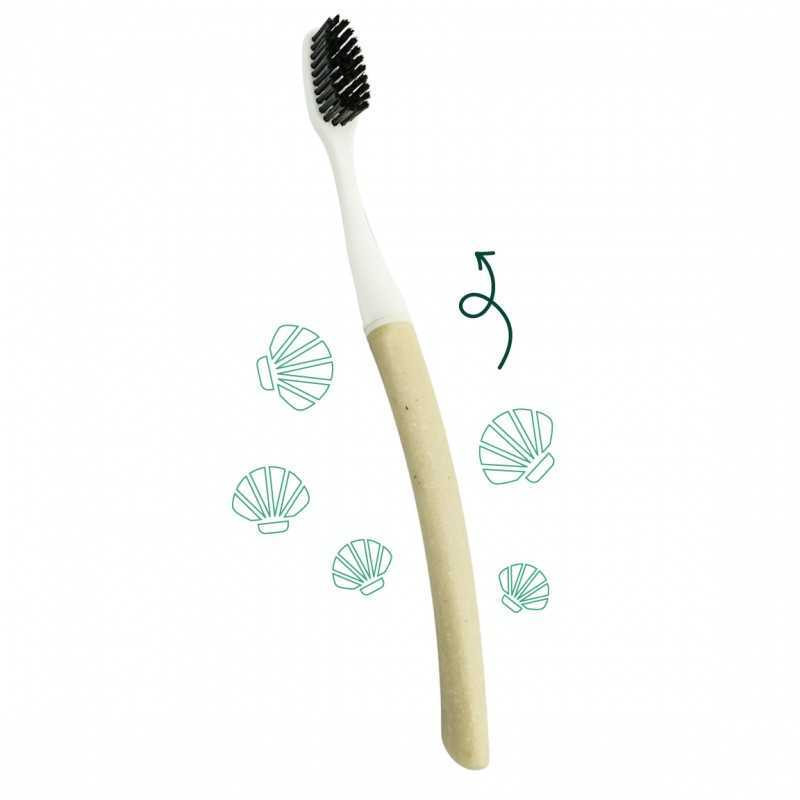 Brosse à Dents Rechargeable Edith Saint Jacques bioplastique