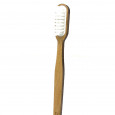 Brosse à Dent Rechargeable en Hêtre 100% Durable - Caliquo