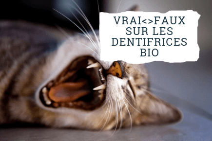 Vrai - Faux sur les dentifrices bio