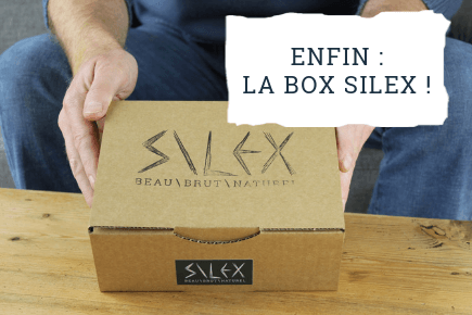 Enfin : la box Silex !