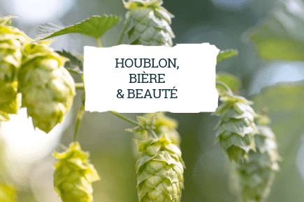 Houblon, bière et beauté