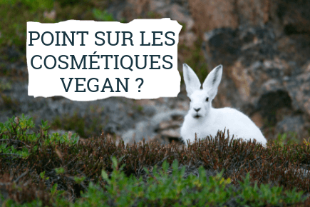 Et si vous optiez pour des cosmétiques Vegan ?